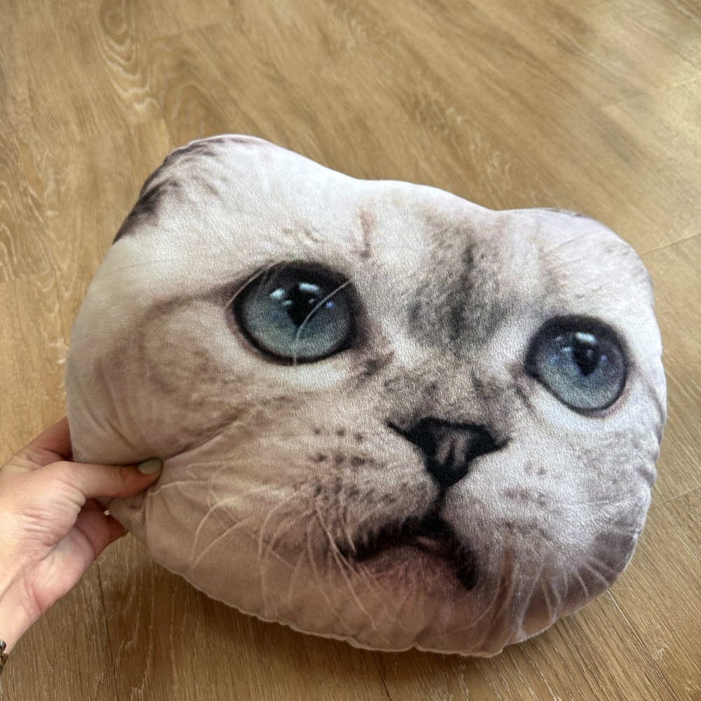 Taylor Swift Meredith & Olivia Pillows Original Merch (Rep Era) - Picture 3 of 7